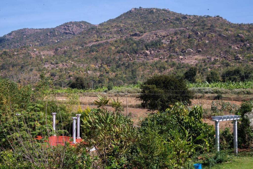 Dome Villas By Jade - Blue Bangalore Eksteriør bilde
